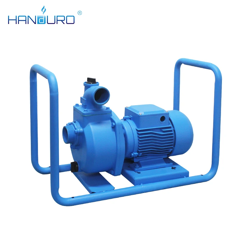 2Hp 28M 110V 1500W Surface Sol - Solar Water Pump บทวิจารณ์และราคา
